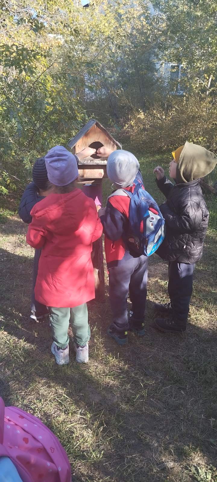 Прогулка « Покормим птиц осенью».