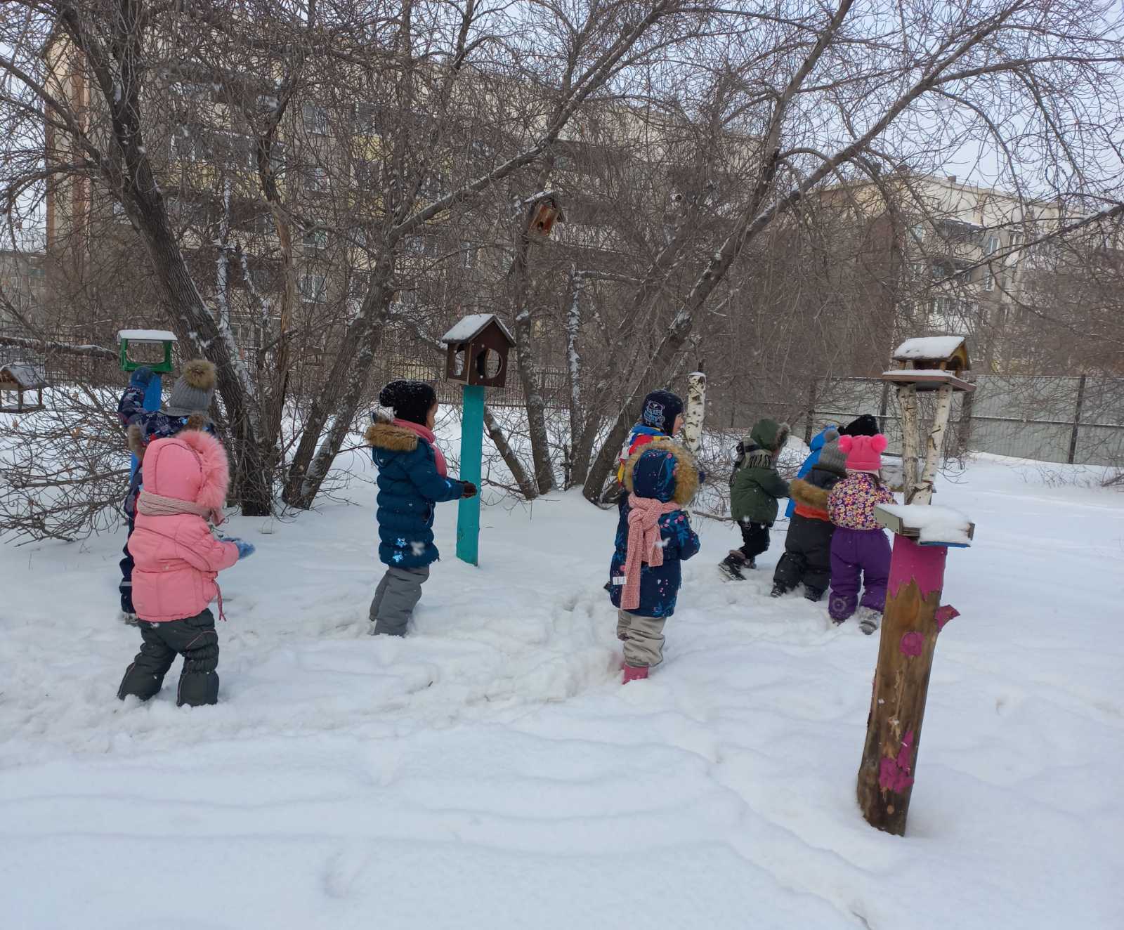 Прогулка &amp;quot;Покормите птиц зимой&amp;quot;..