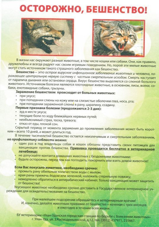 Куда обратиться по отлову бродячих собак?.