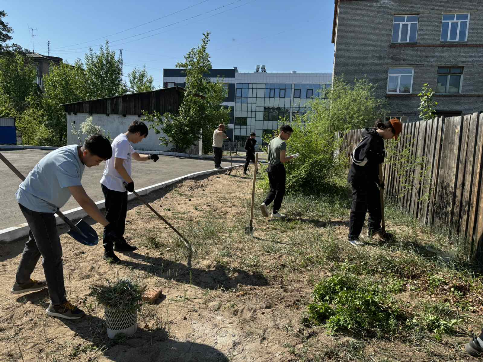 День эколога.